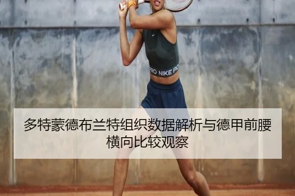 多特蒙德布兰特组织数据解析与德甲前腰横向比较观察