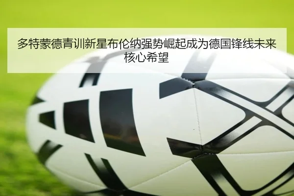 多特蒙德青训新星布伦纳强势崛起成为德国锋线未来核心希望